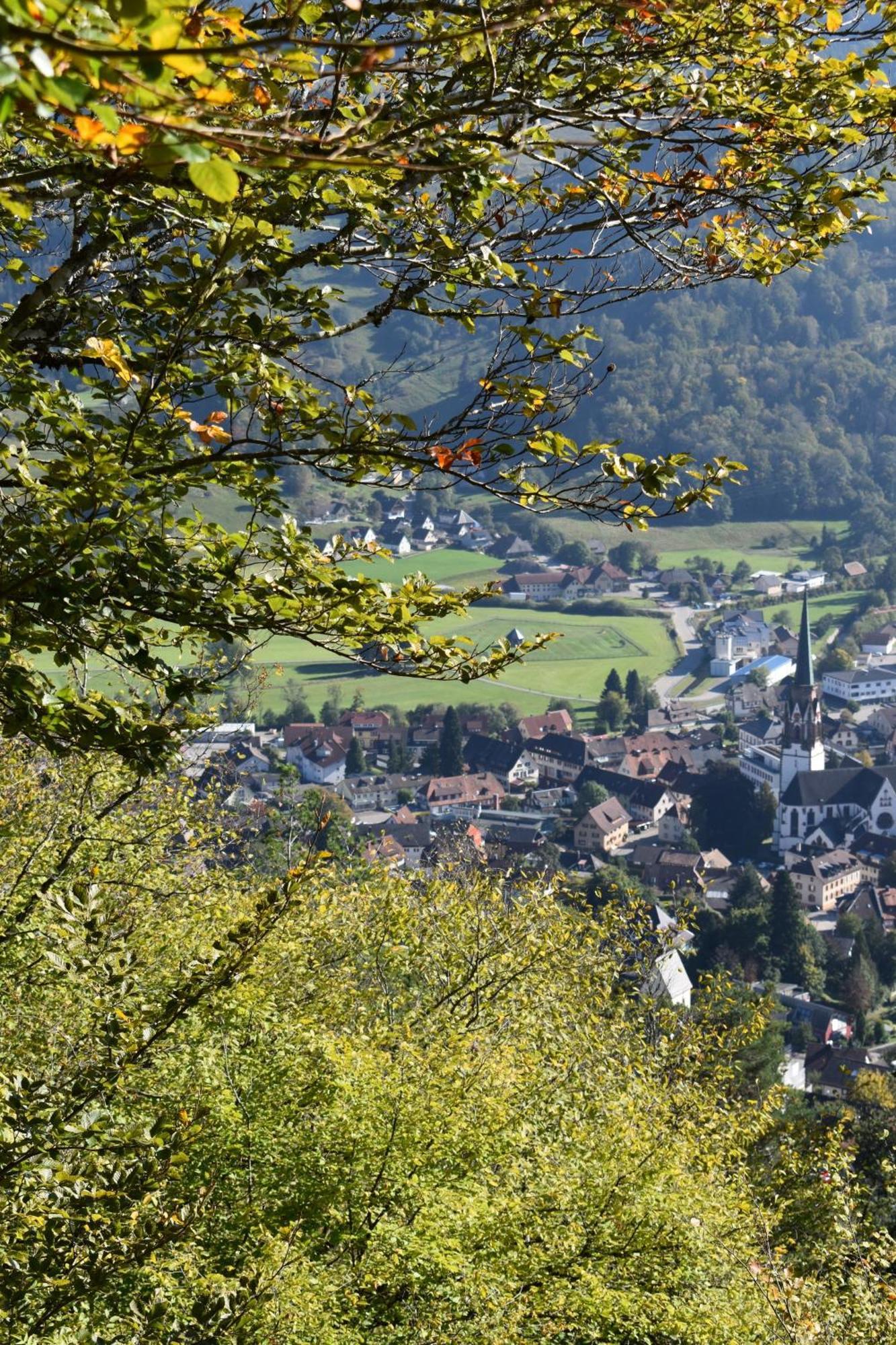 Schönau im Schwarzwald Gartenferienhaus "Annaluise" מראה חיצוני תמונה