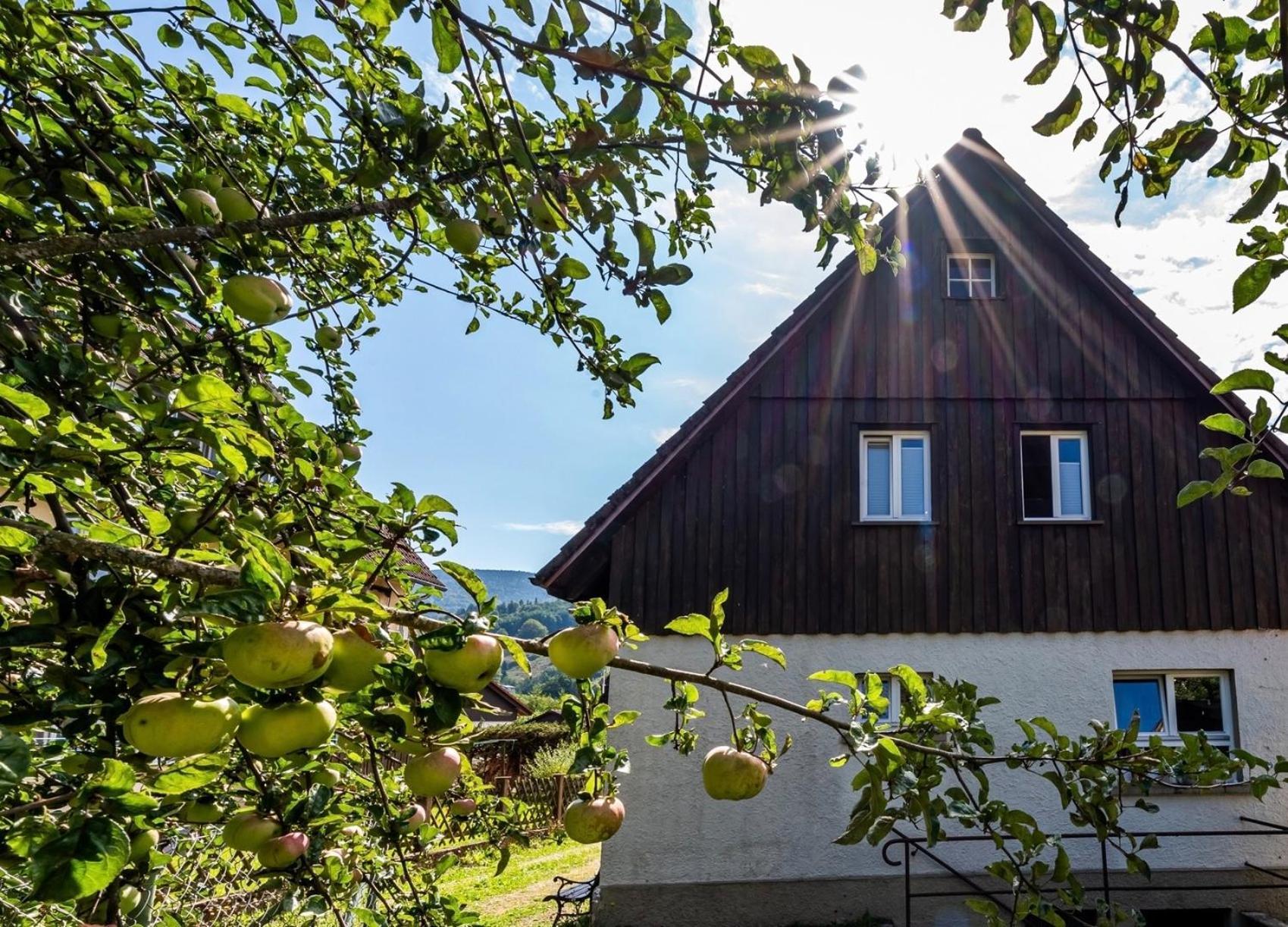 Schönau im Schwarzwald Gartenferienhaus "Annaluise" מראה חיצוני תמונה