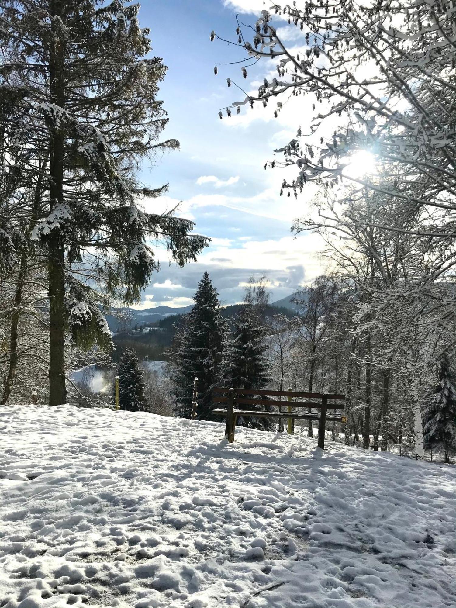 Schönau im Schwarzwald Gartenferienhaus "Annaluise" מראה חיצוני תמונה